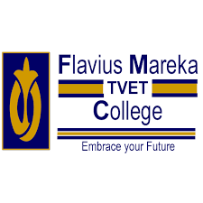 flavius logo