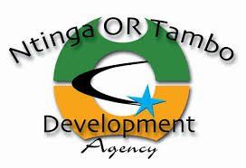 ntinga logo